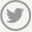 seguici su twitter