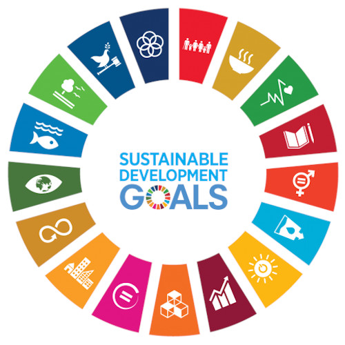 Obiettivi per lo sviluppo sostenibile (SDGS)